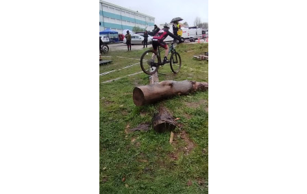 TRJV Avallon